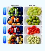 Vegetable Peeling Machine - Image 5