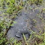 Fishing Cage Trap - Image 2