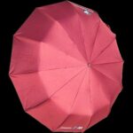 BMW Motorsport 12-Sticks Automatic Umbrella - Image 5