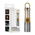 Waterproof LED Transparent Torch Light _ Model-X10